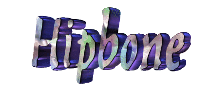 Hipbone